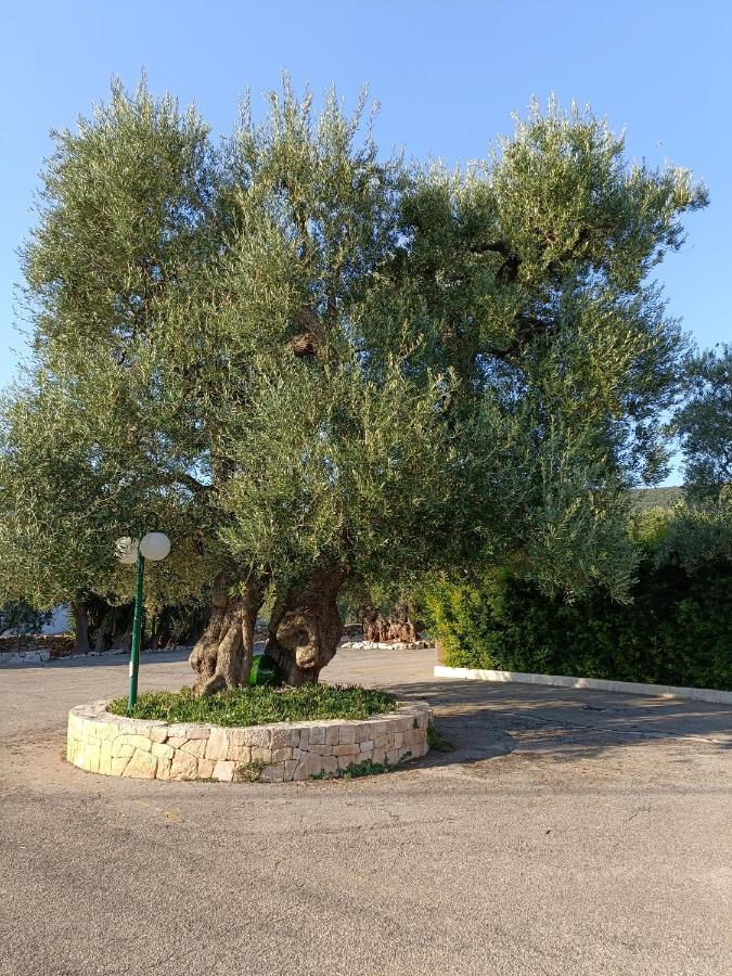 Masseria Galleppa By Apulia Hospitality 마키아 디 몬테 외부 사진